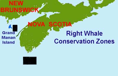 right whale conservation areas